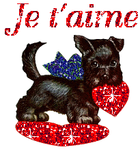 mon amour